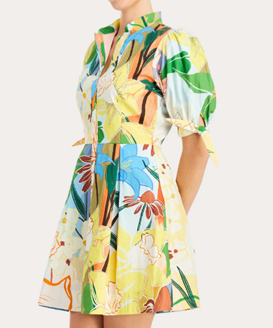 Mestiza Brooklyn Floral Poplin Puff-Sleeve Mini Dress